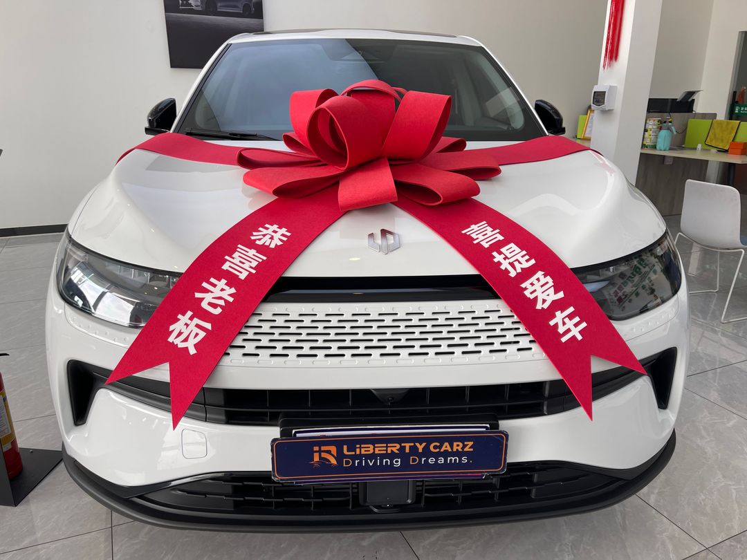 Leapmotor C11 2023forsale