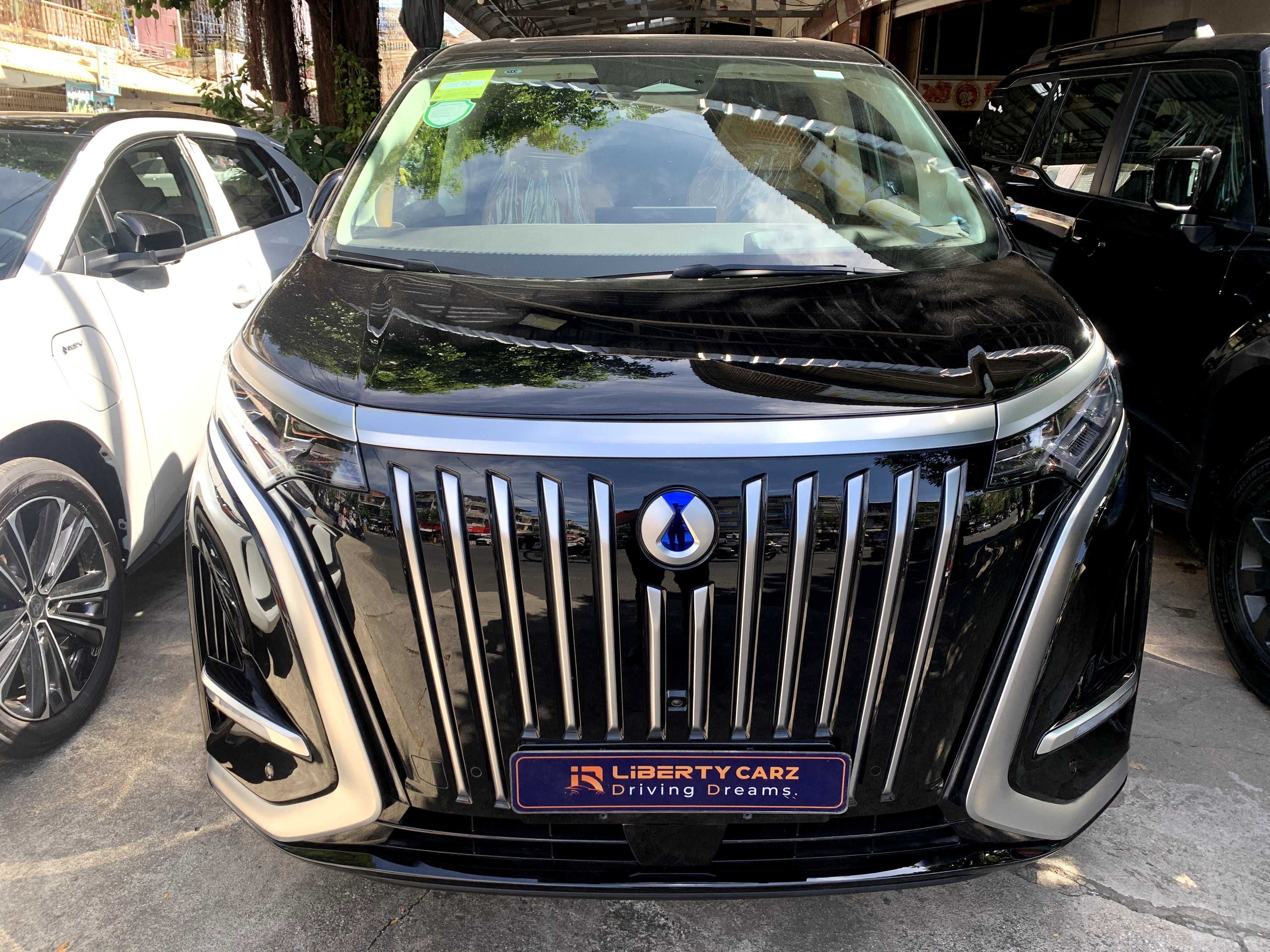 DENZA D9 Premier 2024