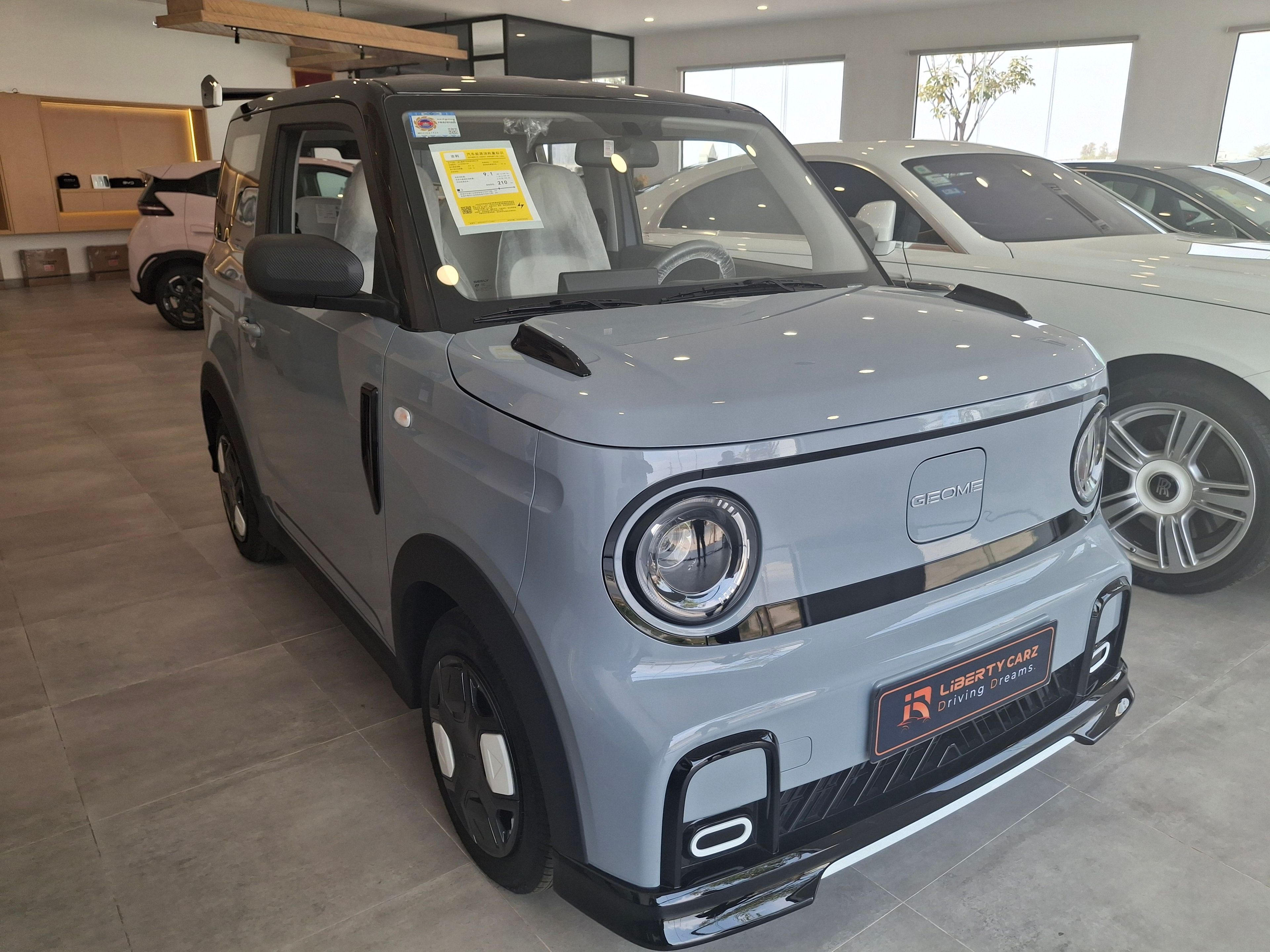 Geely GEOMETRY Panda 2024