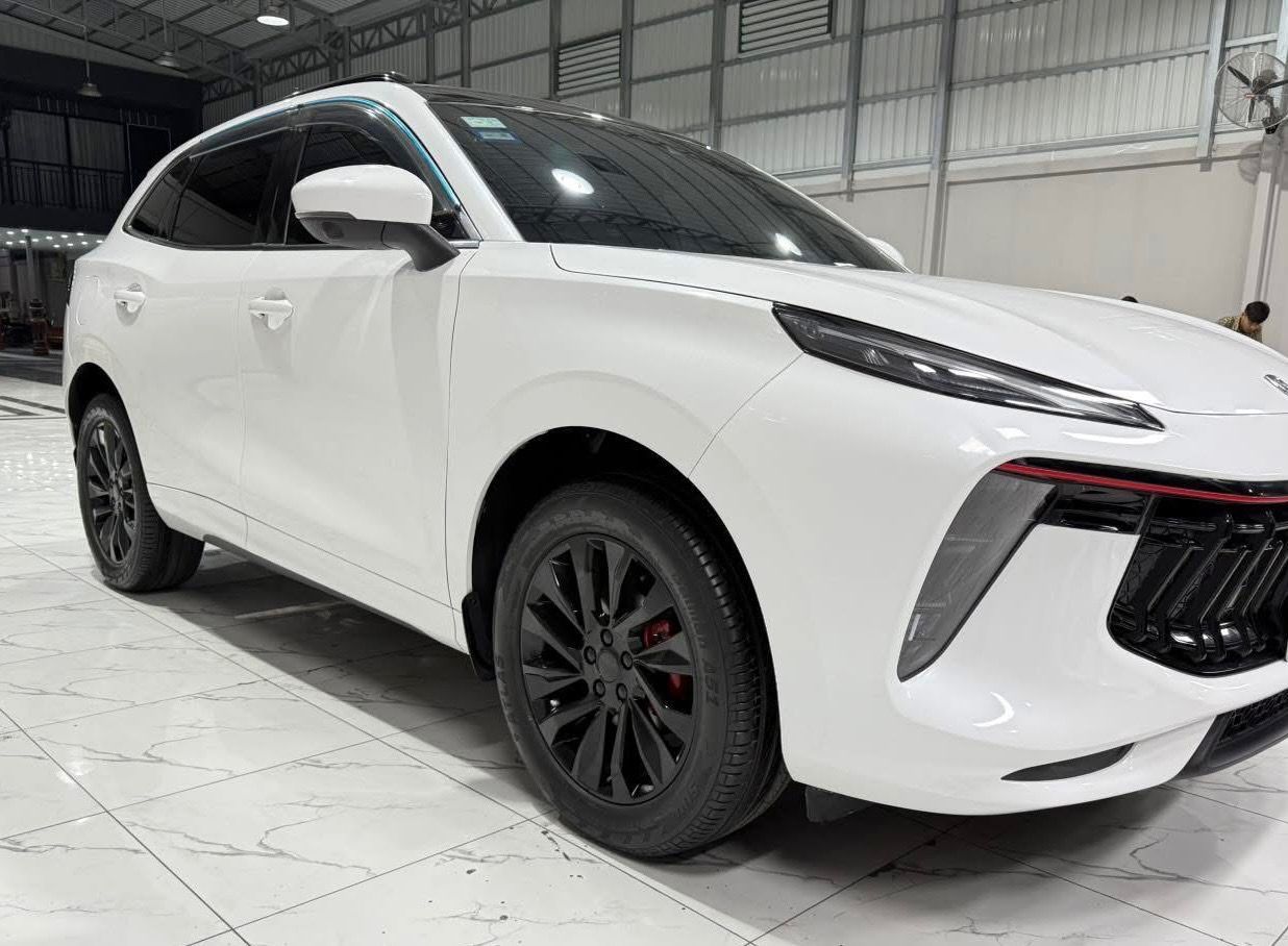 FORTHING T5 EVO 2022