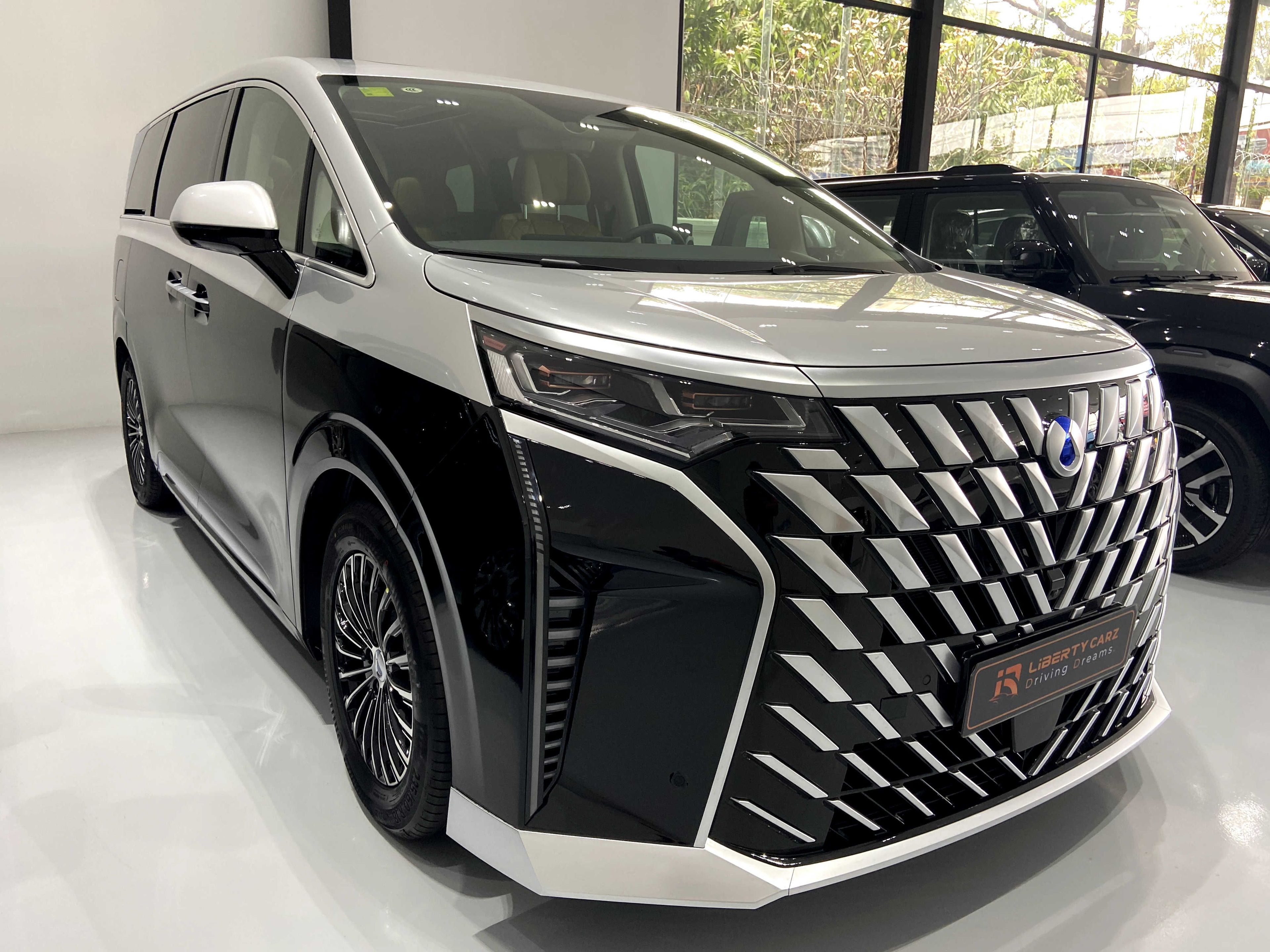 DENZA D9 Premier 2024
