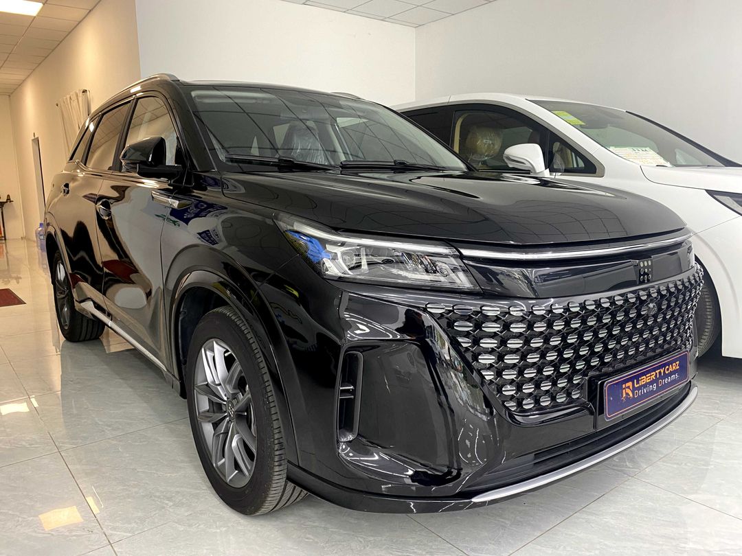 DONGFENG E5  2024forsale