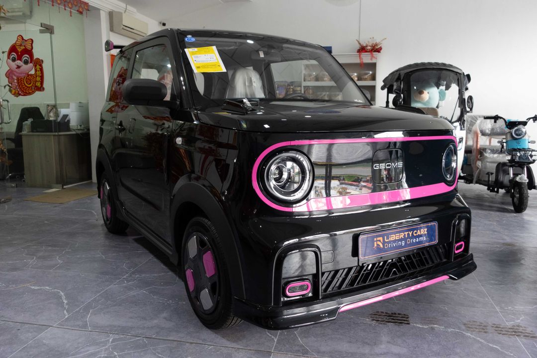Geely GEOMETRY Panda 2025forsale
