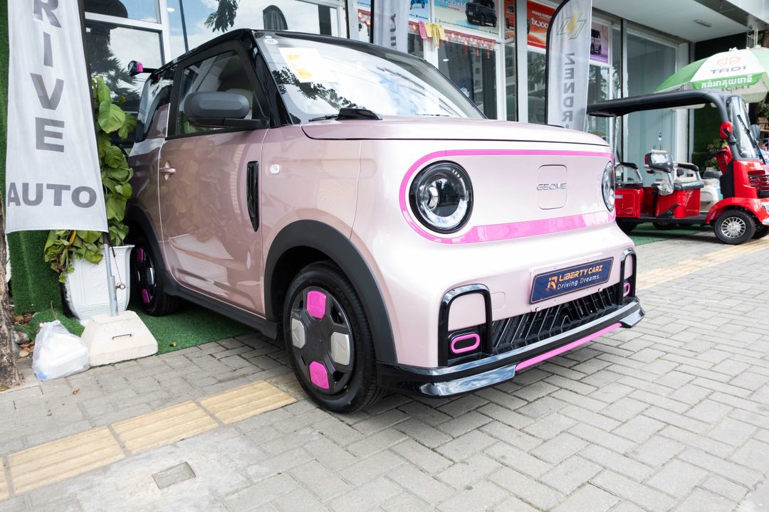 Geely GEOMETRY Panda 2025forsale