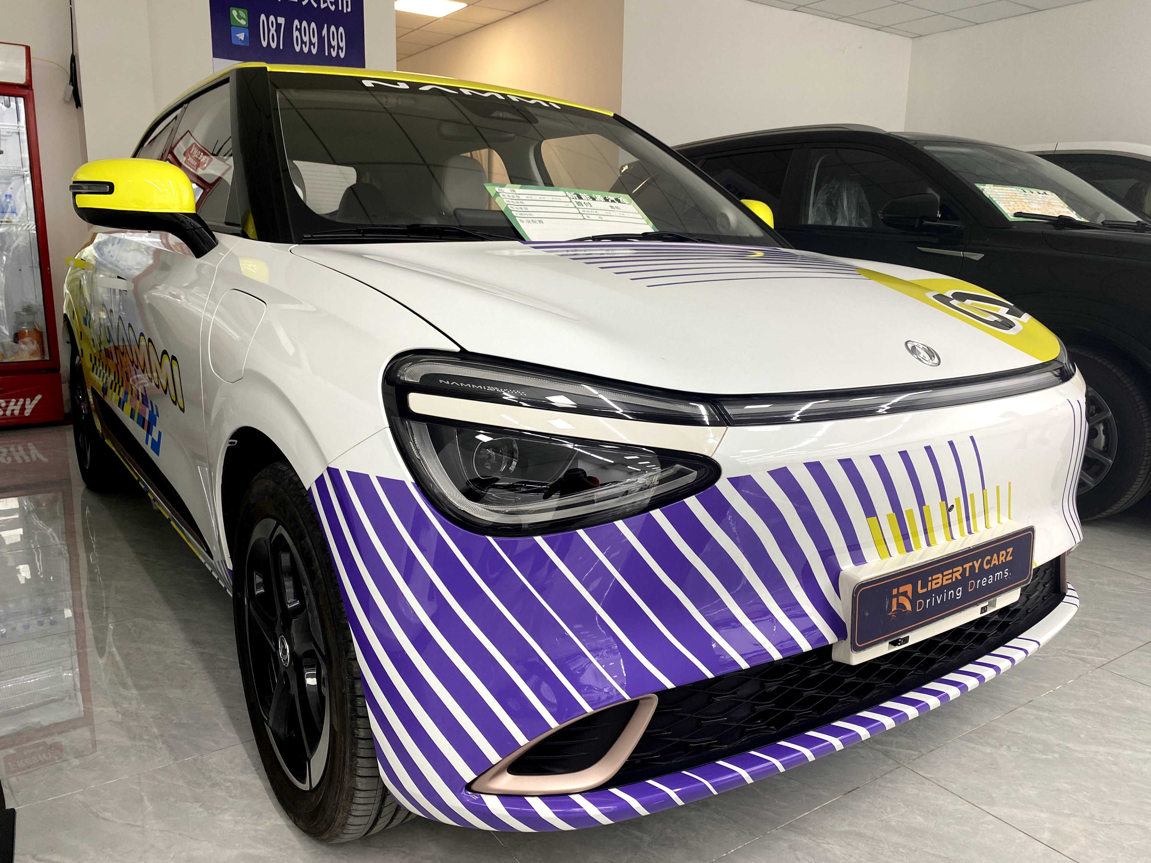 DONGFENG Nammi 01 2025