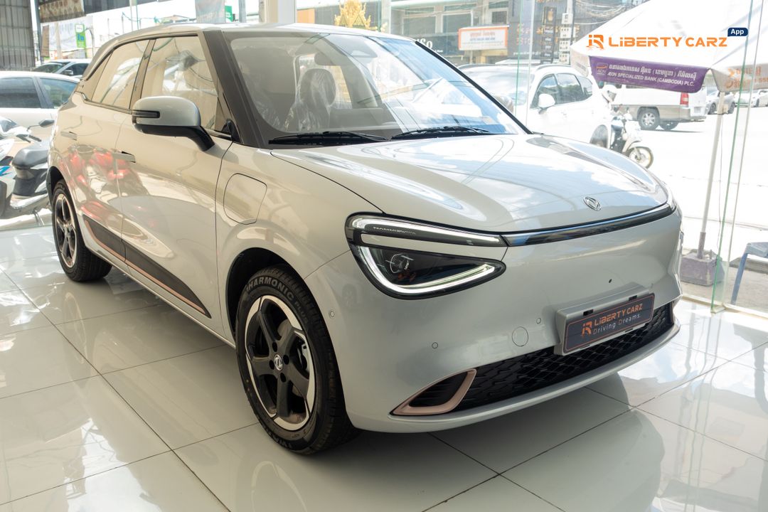 DONGFENG 2025forsale