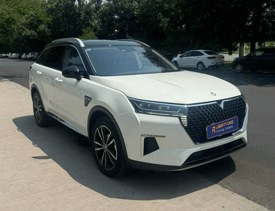 DONGFENG Venucia 2023forsale