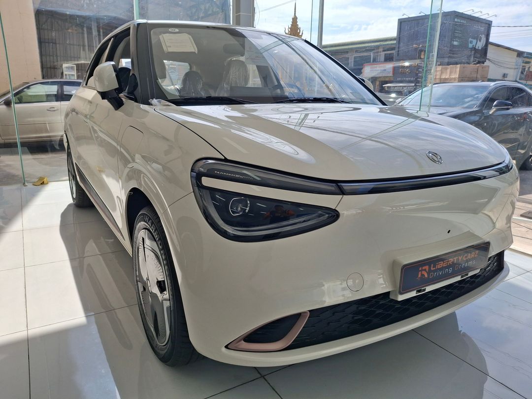 DONGFENG Nammi 01 2025forsale