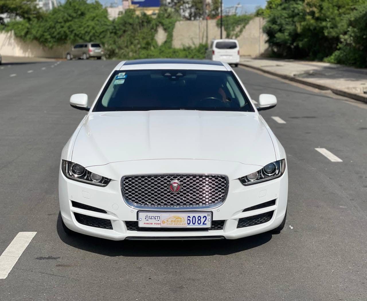 Jaguar 2016