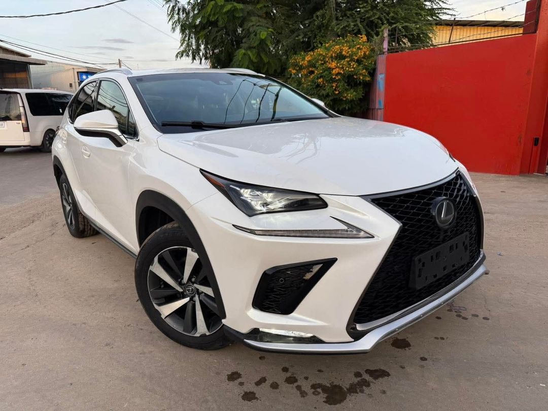 雷克萨斯 NX 300 2018forsale